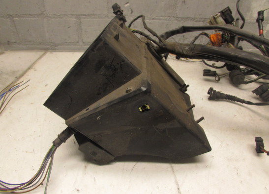 Kabelboom BMW R 850 R