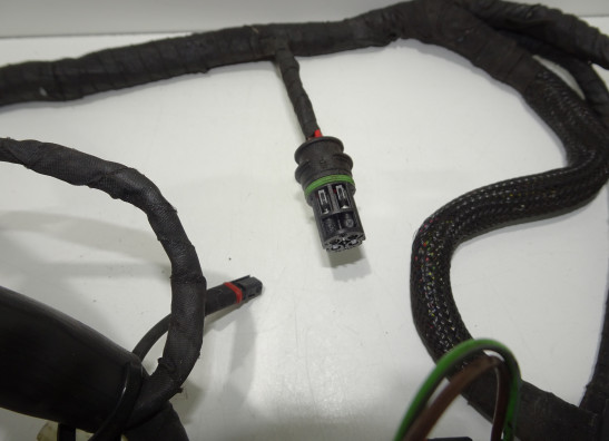 Kabelboom BMW F 800 R