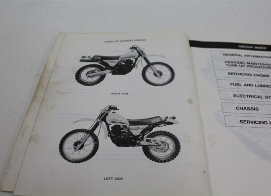 Werkplaatshandboek Suzuki DR 250