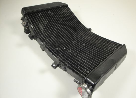 Radiateur Honda CBR 600 F