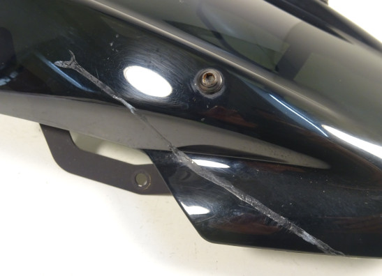 Windschild Kawasaki Z 650