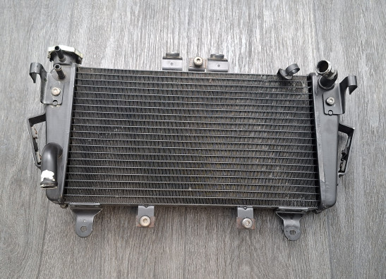 Radiateur Triumph Tiger 1050
