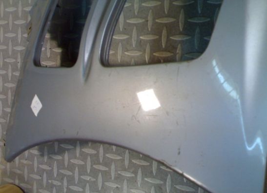 Linker zijkuip Suzuki RF 900