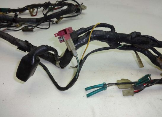 Wire Harness Kawasaki ZZR 600