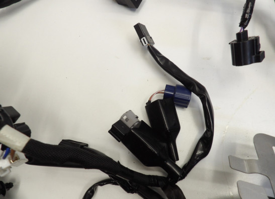 Wire Harness Kawasaki ZX 10 R