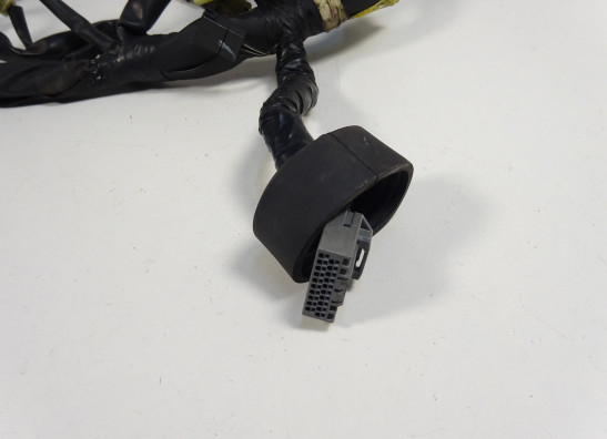 Wire harness front Yamaha FJR 1300