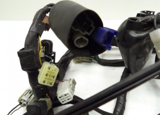 Wire Harness Yamaha FZ6