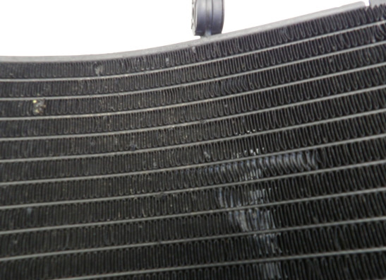 Radiateur Honda CBR 900 RR