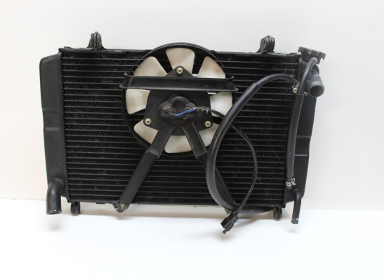 Radiateur Yamaha FZR 750 R OWO1