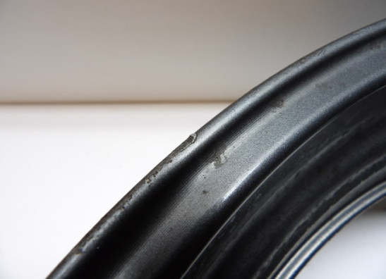 Achtervelg Yamaha XJ 900 S Diversion