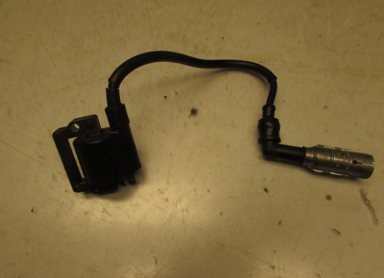Bobine Aprilia Pegaso 1992-2005