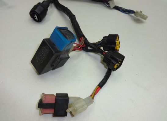 Kabelbaum Yamaha XJ 900 S Diversion