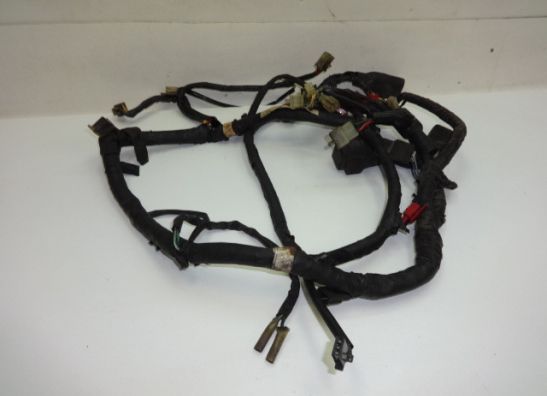Wire Harness Honda CBX 750 F