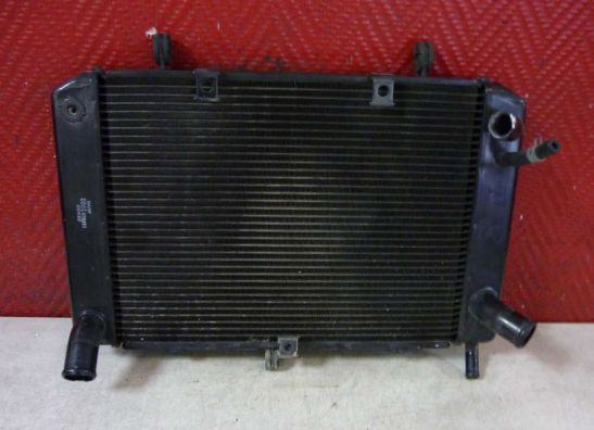 Radiateur Suzuki GSR 600