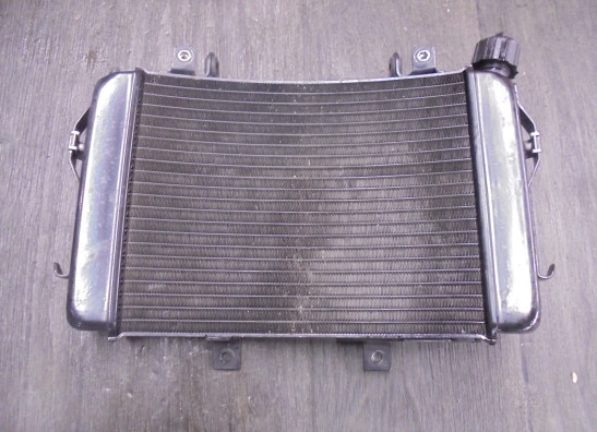 Radiateur KTM 690 Duke 4