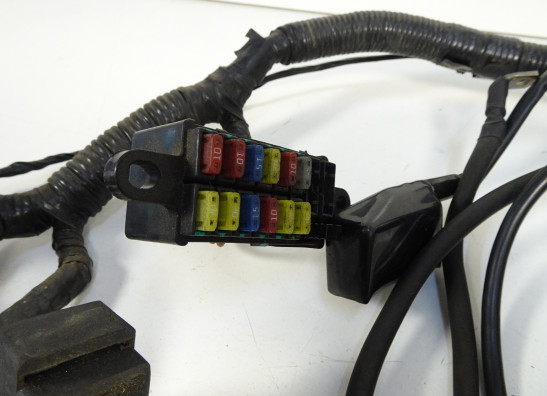 Wire Harness Triumph Sprint ST 1050