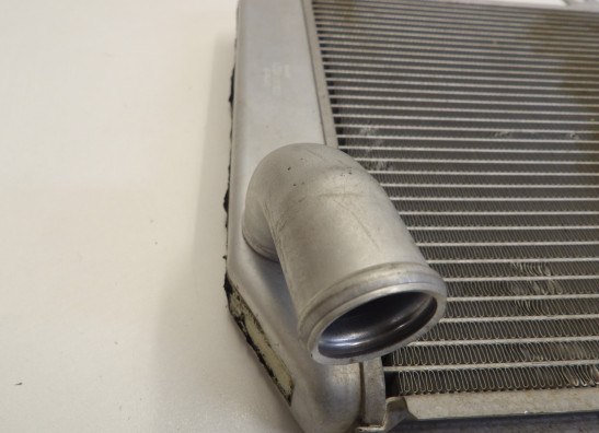 Radiator Kawasaki Z 1000 Sx