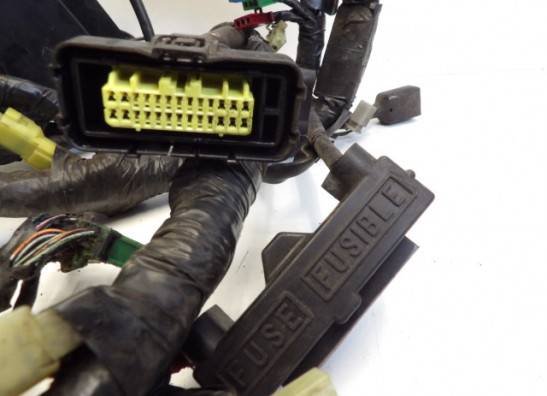 Kabelboom Honda Goldwing GL