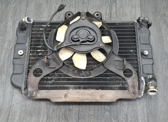 Radiator Suzuki Madura 1200