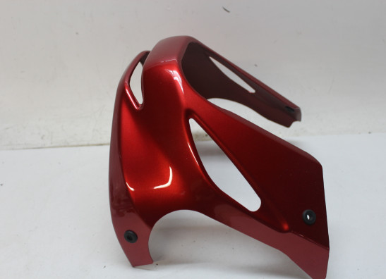 Verkleidung unten Yamaha TDM