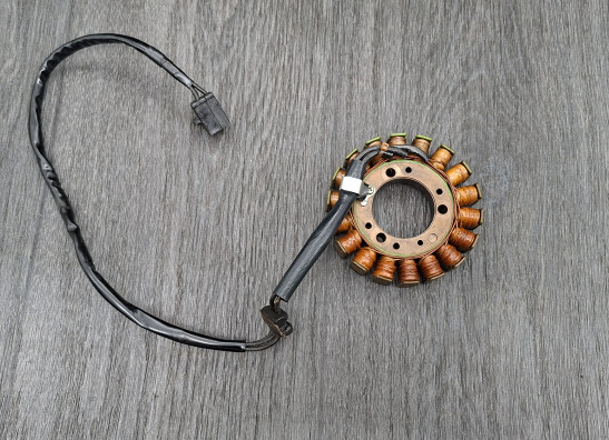 Dynamo Kawasaki ZZR 600