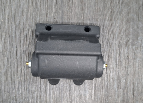 Bobine Harley Davidson Overige Harley Davidson