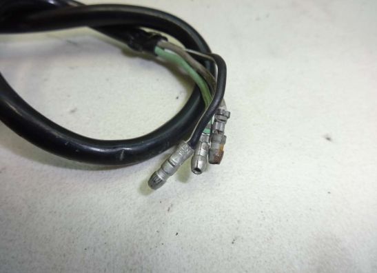 Winker right front Suzuki LS 650