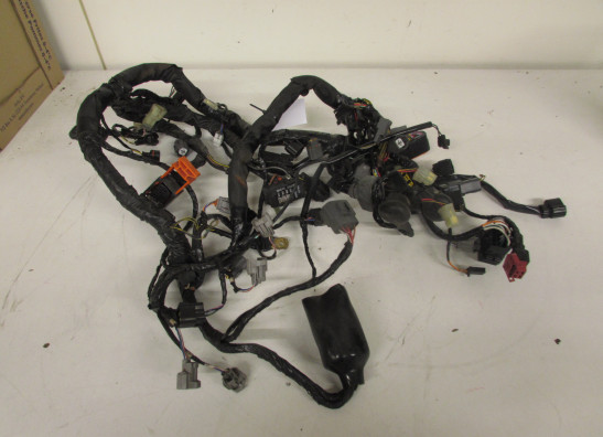 Kabelbaum Kawasaki Z 750