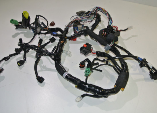 Kabelboom Suzuki SV 650