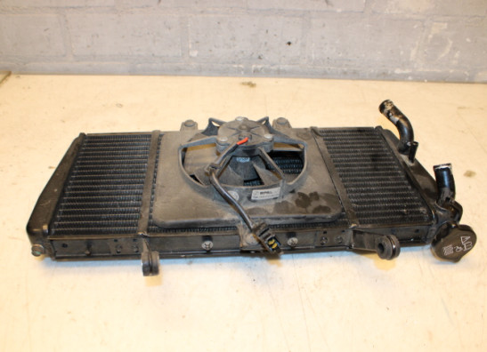 License plate holder Triumph Sprint RS