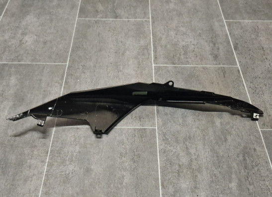 Heck rechts Aprilia Tuono 660