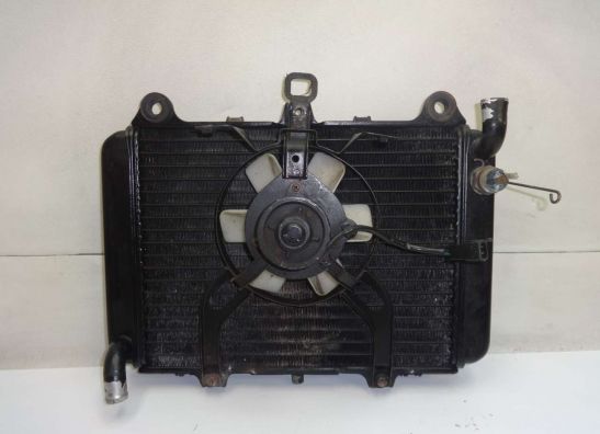 Kuhler Kawasaki GPX 600