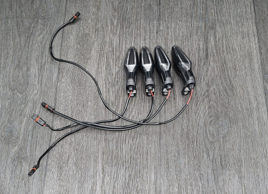 Blinker BMW R 1250 RS