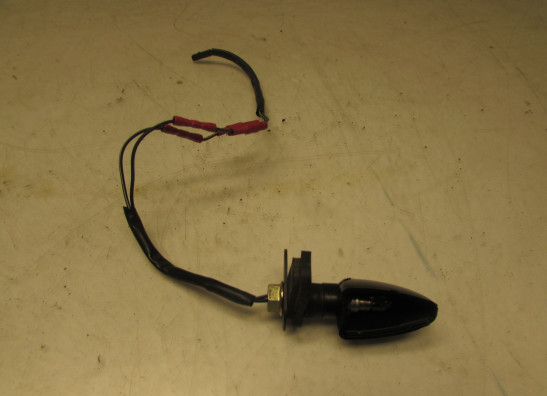 Knipperlicht Kawasaki ER 5 1997-2005