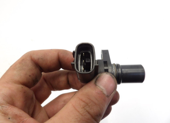 Nokkenas Suzuki TL 1000