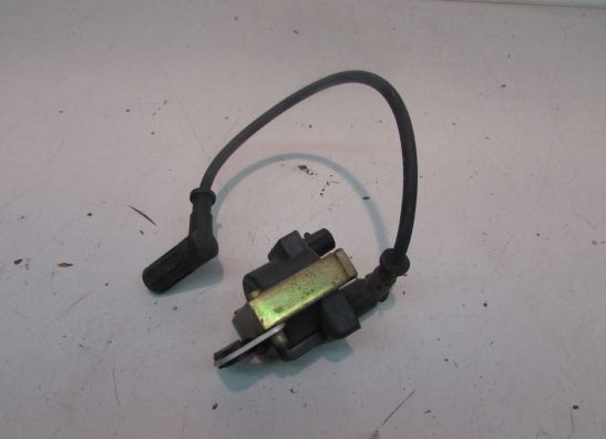 Bobine Ducati 750 SS Supersport