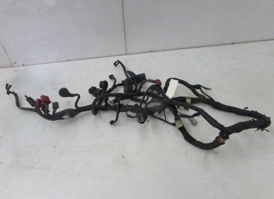 Kabelboom Honda CBX 750 F