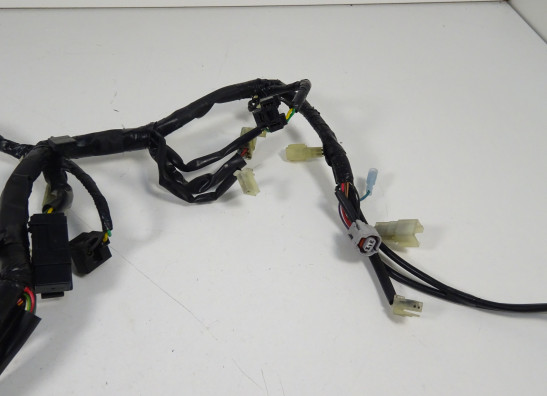 Kabelboom voor Yamaha FJR 1300