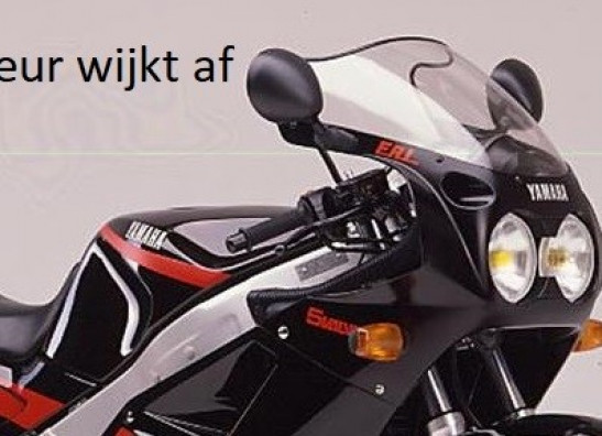 Wind screen Yamaha FZR 1000
