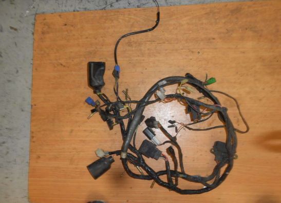 Wire Harness Suzuki GSX F 1100