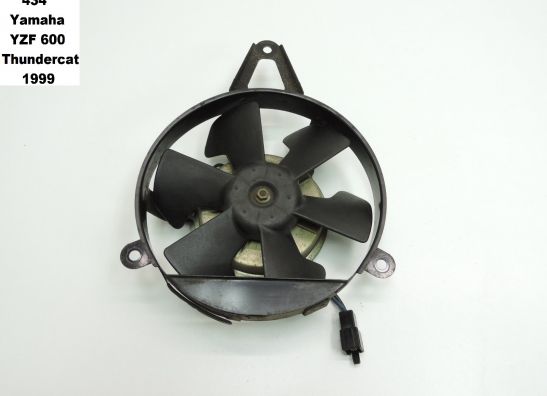 Ventilator Yamaha YZF 600 Thundercat