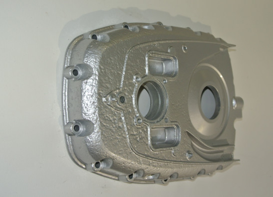 Engine cover BMW R 1200 GS