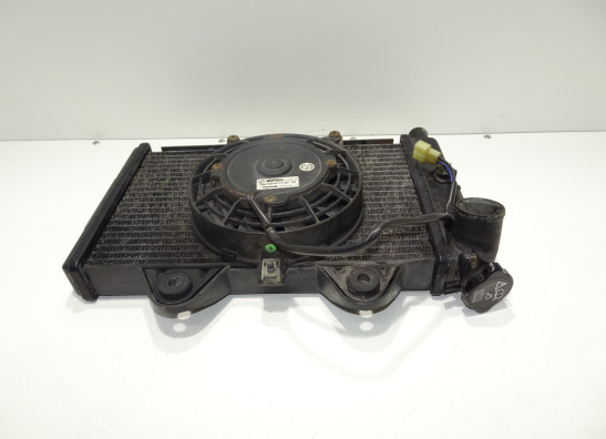 Radiator Triumph Tiger 900