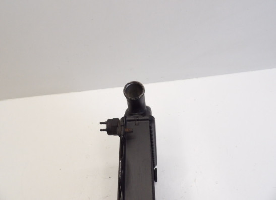 Kuhler Kawasaki ZZR 600