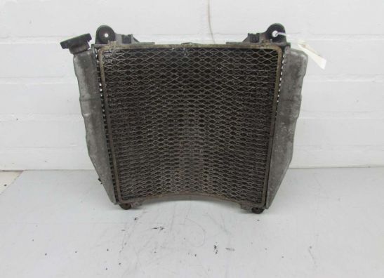 Radiateur Kawasaki ZXR 750