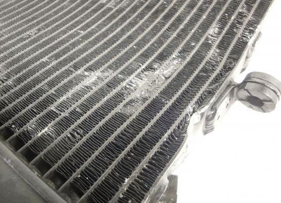 Radiateur Honda CBR 600 F
