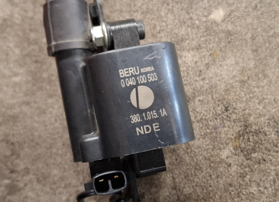 Bobine Ducati Monster 821