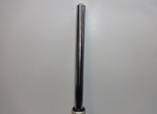 Front Fork left complete Yamaha YX 600 Radian