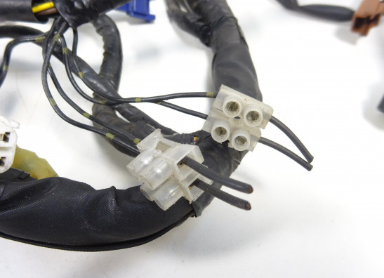 Wire Harness Yamaha FJR 1300