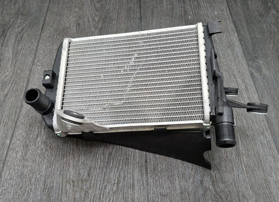 Radiateur BMW R 1250 GS
